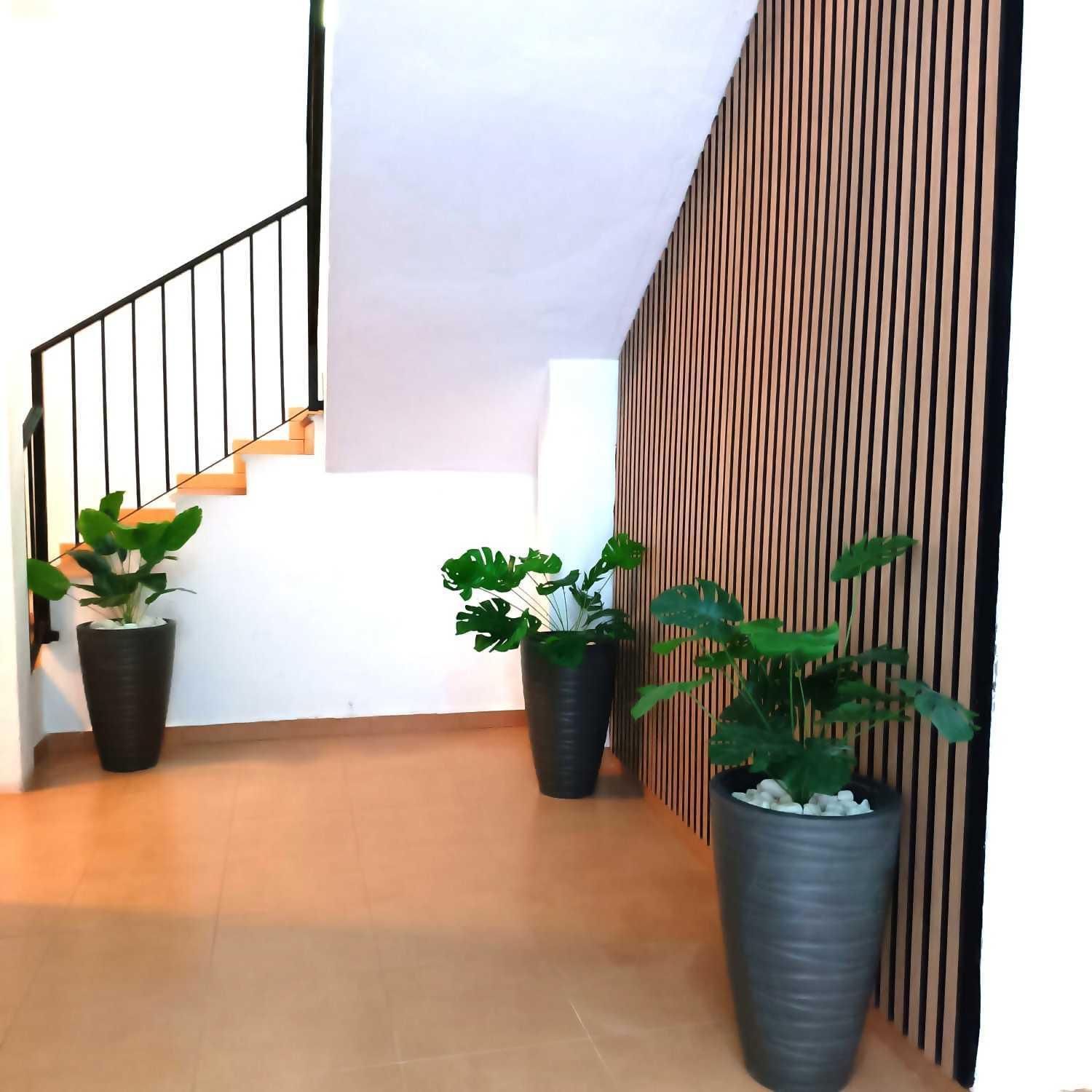 Apartamentos Larios Malaga Exterior photo