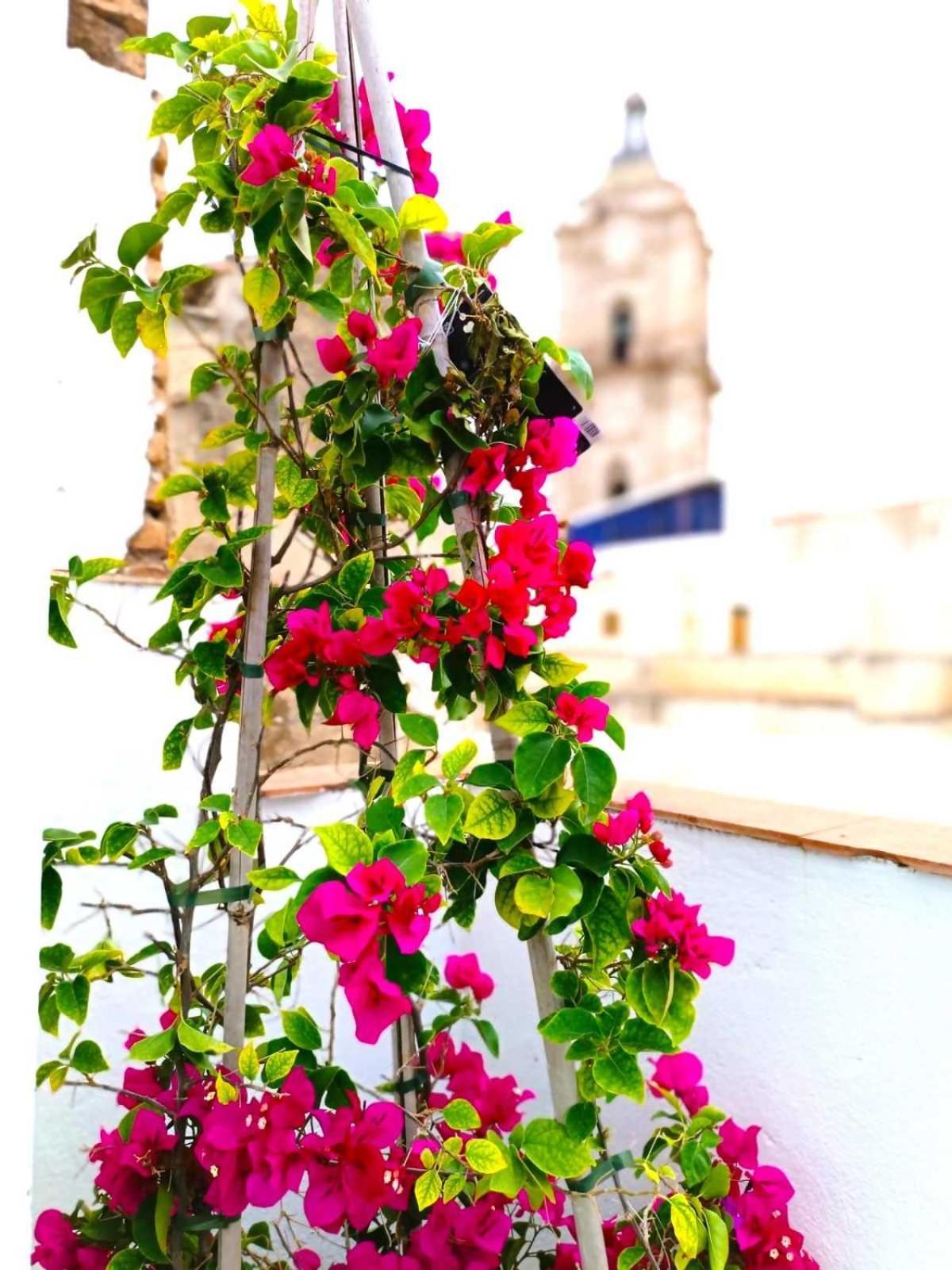 Apartamentos Larios Malaga Exterior photo